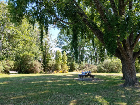 防波堤-基督城必去景点