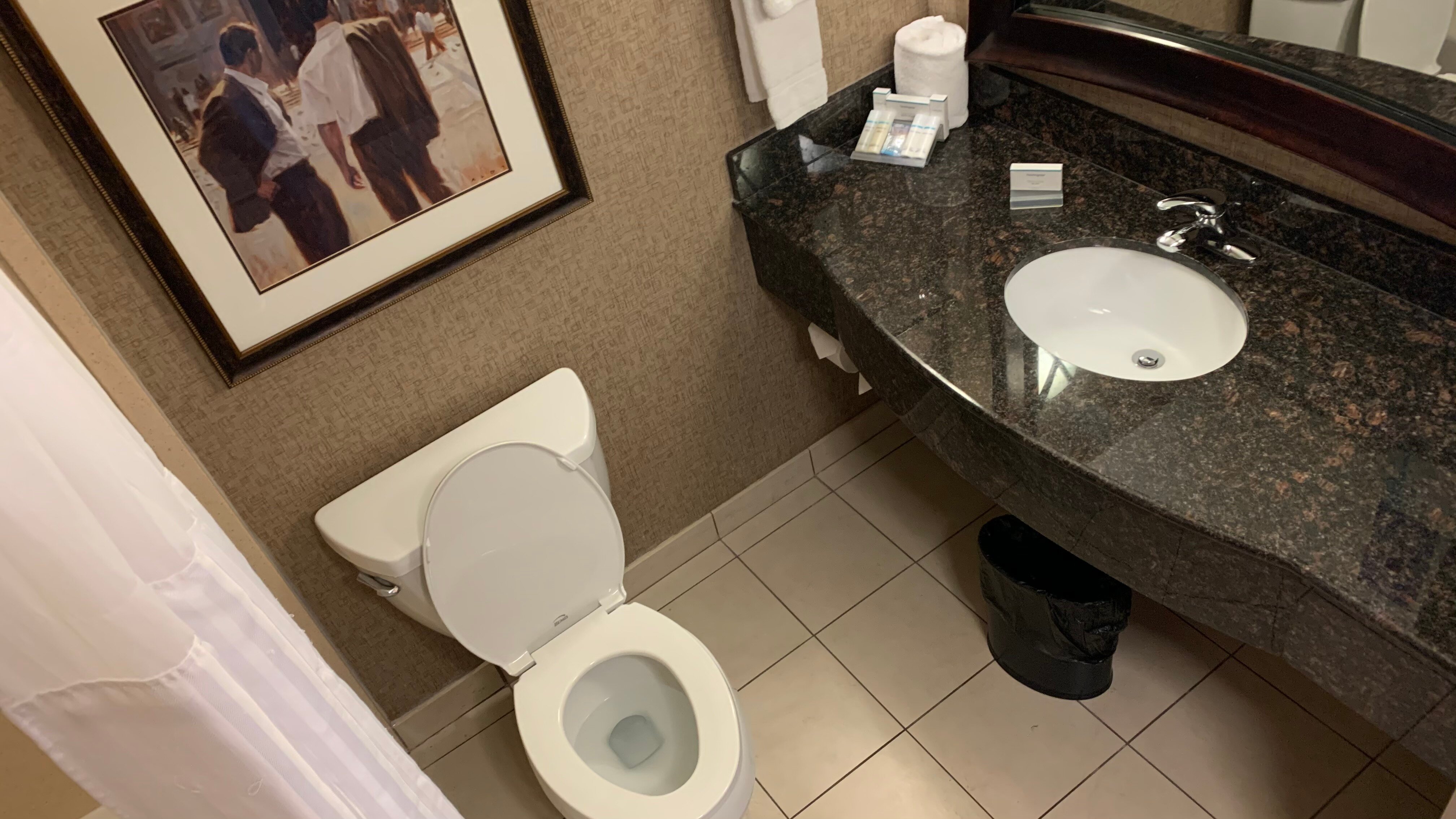 Hilton Garden Inn Columbus/Edinburgh-浴室