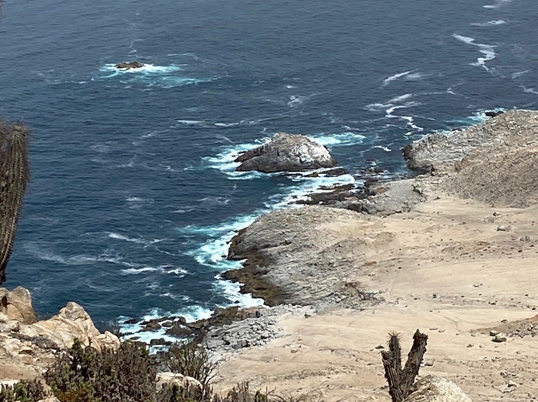 Pan de Azucar National Park-Chanaral必去景点
