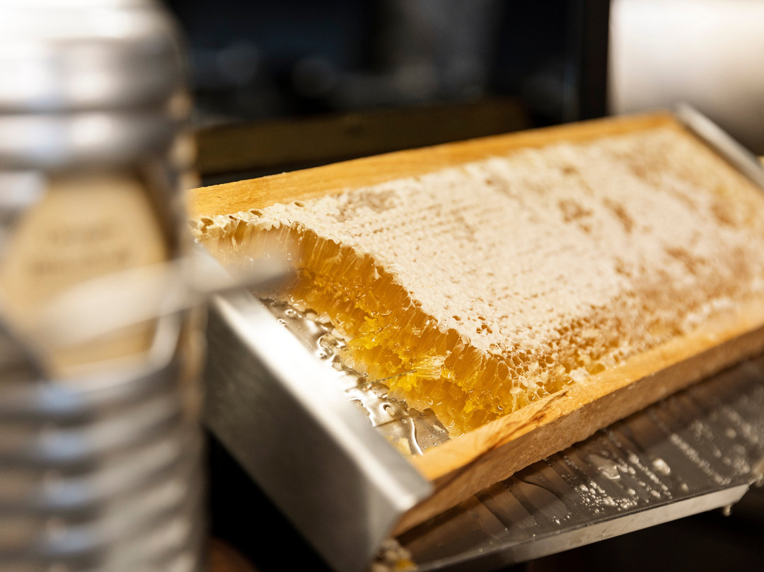 Hotel Wunnerswat主图