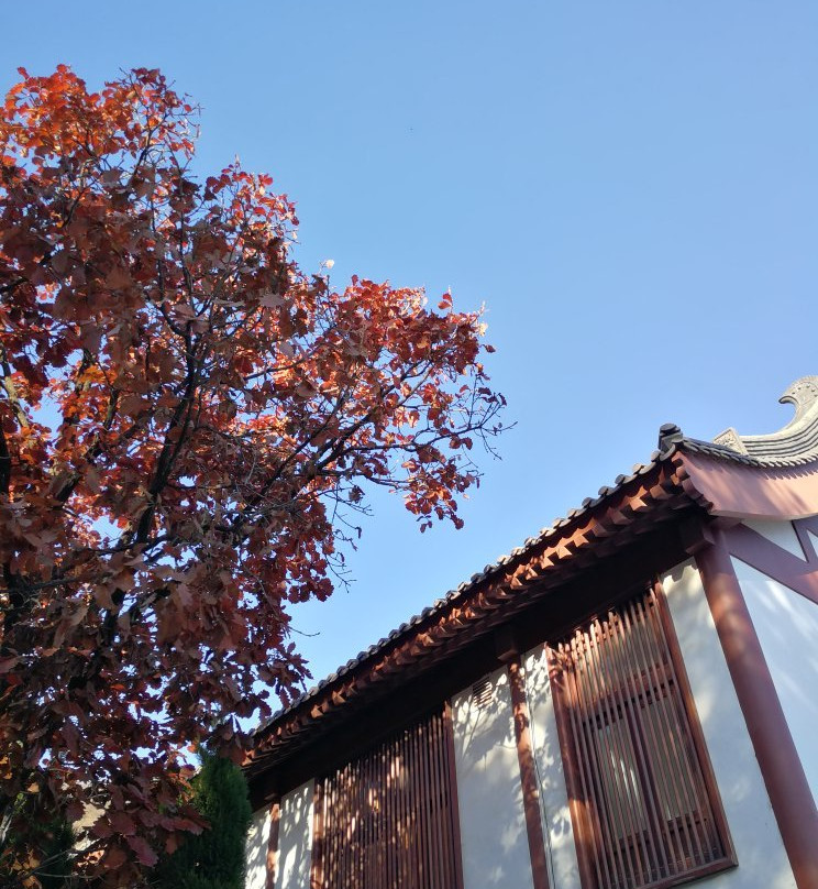 横山寺-大连市必去景点