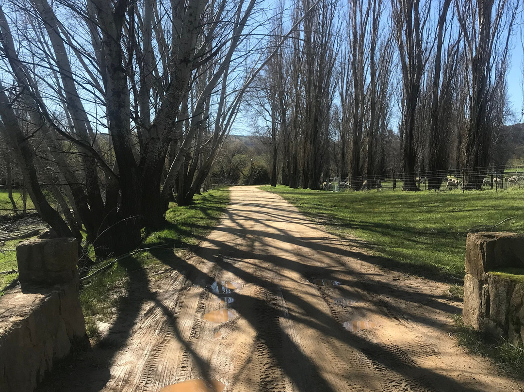 Markdale Farmstay主图