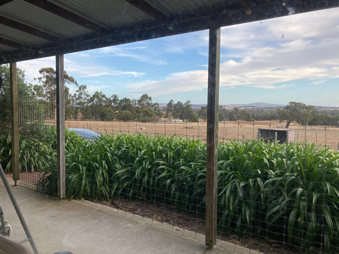 Big Bird & Wolf Chalets主图