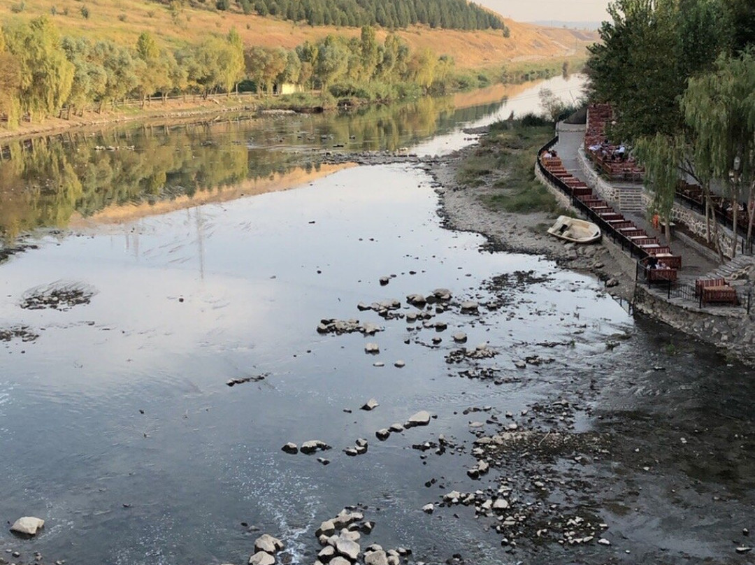 Hasankeyf Eski Köprü-Diyarbakir必去景点