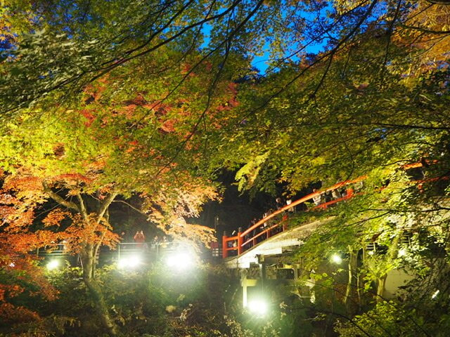 Kajikabashi景点图片