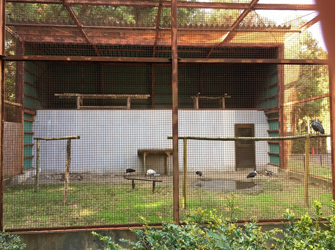 Toki no Mori Park-佐渡市必去景点