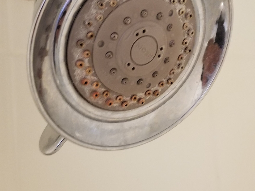 Holiday Inn & Suites Beaumont-Plaza (I-10 & Walden) by IHG主图