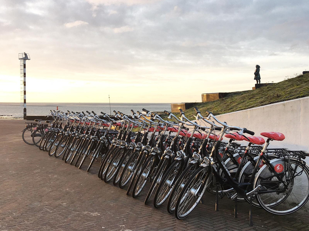 Fietsverhuur Jan van Vlieland-弗利兰岛必去景点
