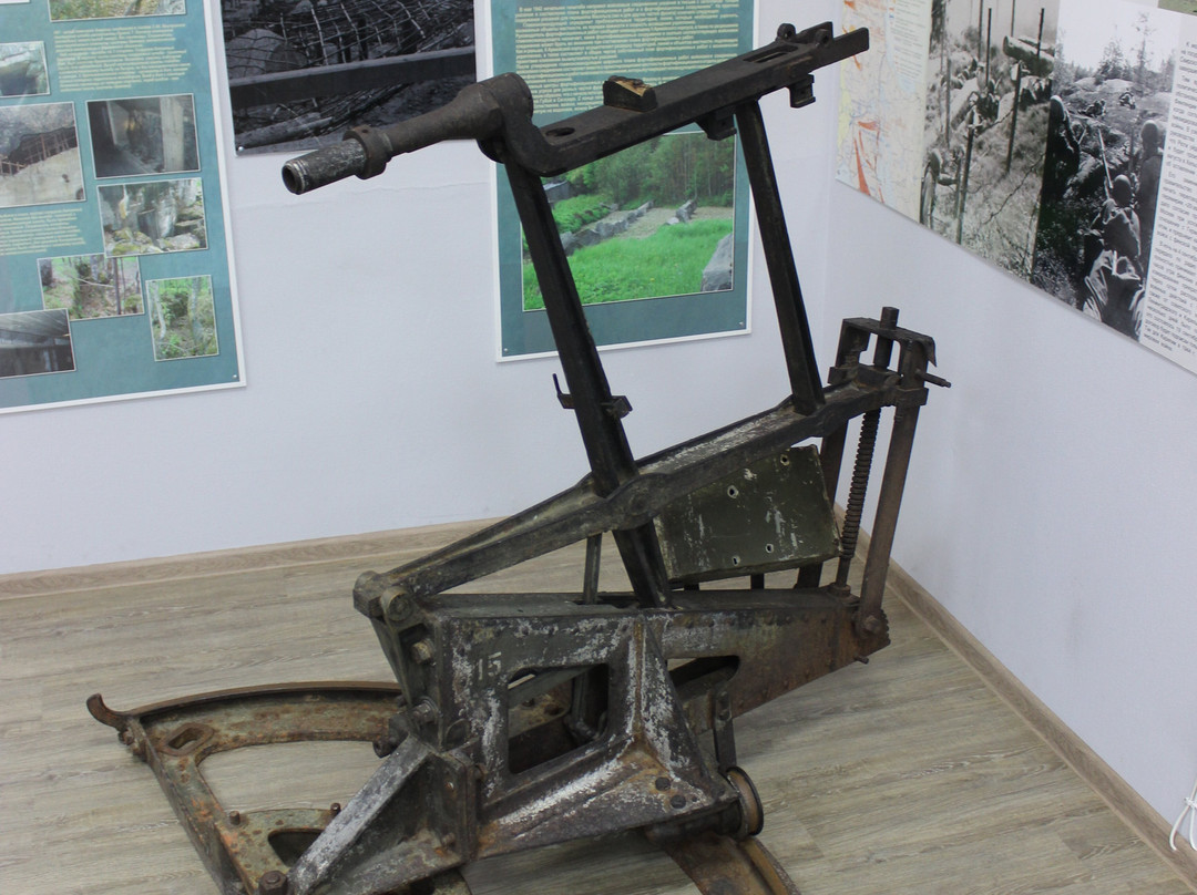 Medvezhyegorsk Town Museum景点图片