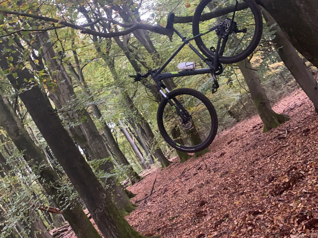Mountainbiken Op De Veluwe-Emst必去景点