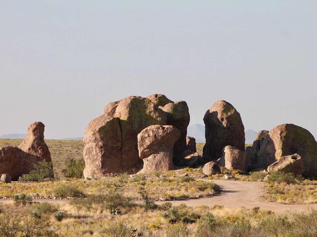City of Rocks State Park-Deming必去景点