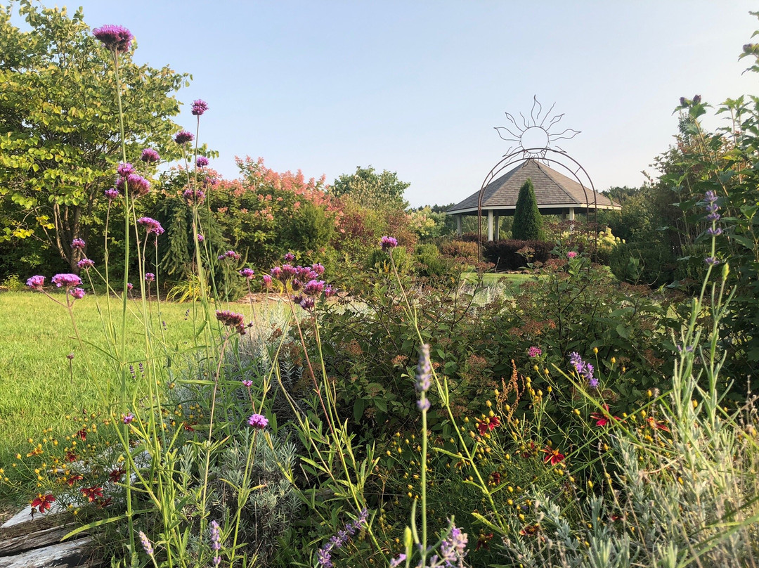 Light of Day Organic Teas-特拉弗斯城必去景点