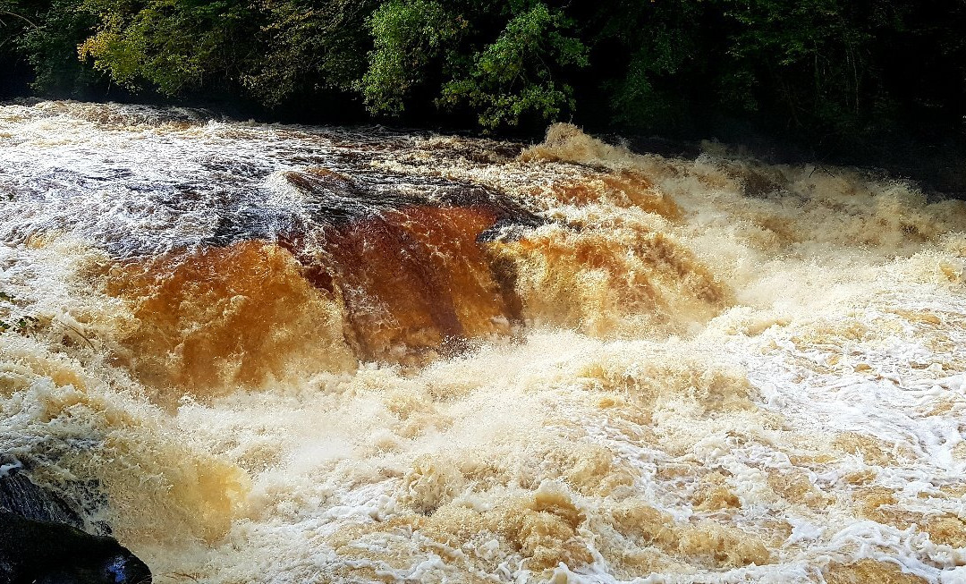 Falls of Clyde景点图片