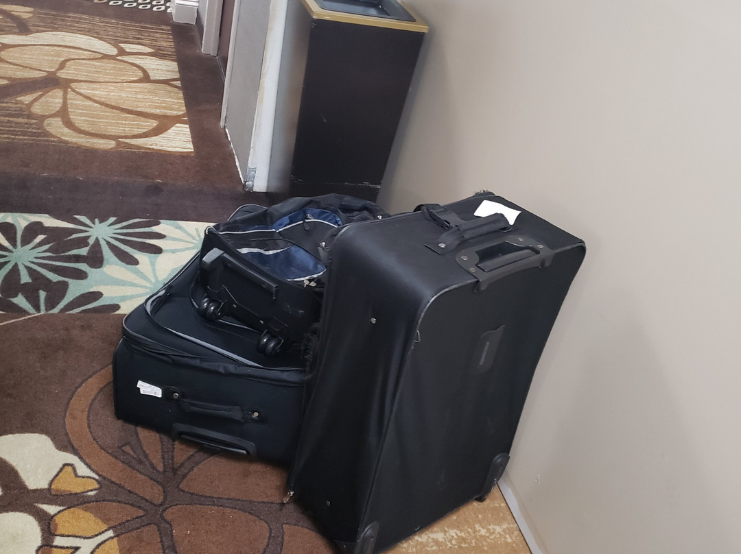 Wingate by Wyndham Springfield主图