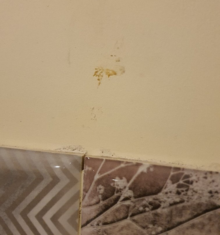 Yanbu Lakes-Yanbu必去景点