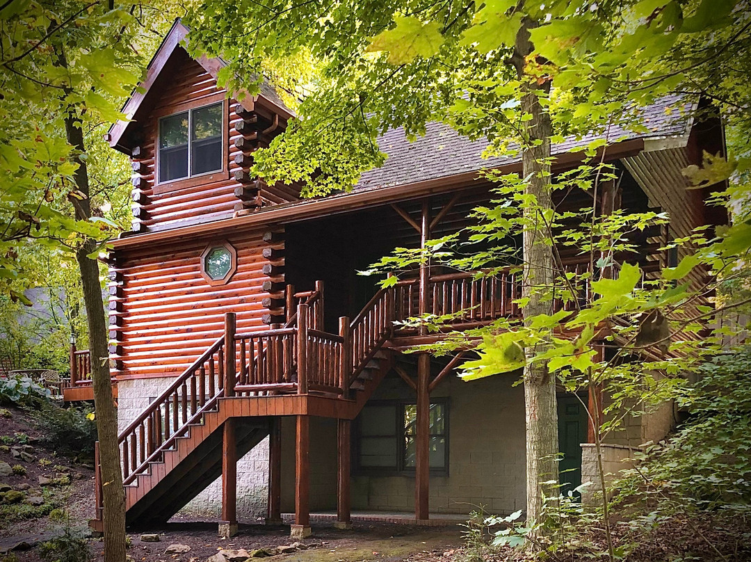 Donna's Premier Cabin Lodging主图