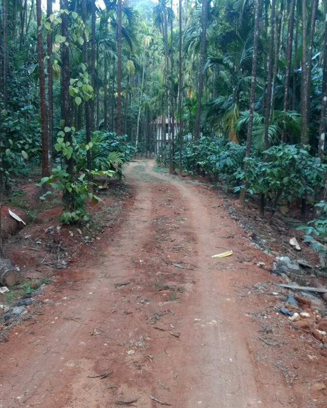 Chikkamagaluru District旅游攻略图片