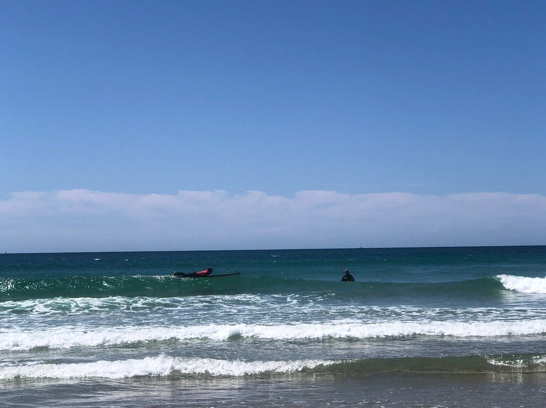 Kool Katz Surf School-拜伦湾必去景点