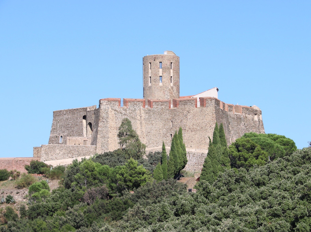Fort Saint-Elme-科利乌尔必去景点