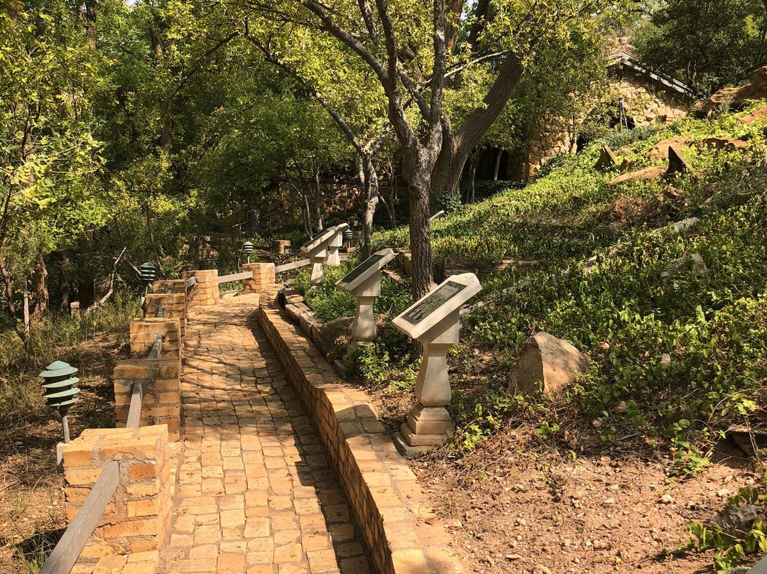 Buffalo Springs Lake-拉伯克县必去景点