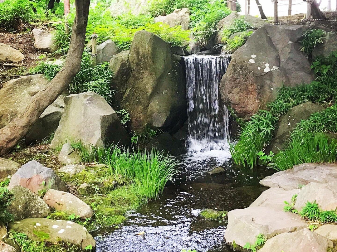 Hachinohe Castle Ruins-八户市必去景点