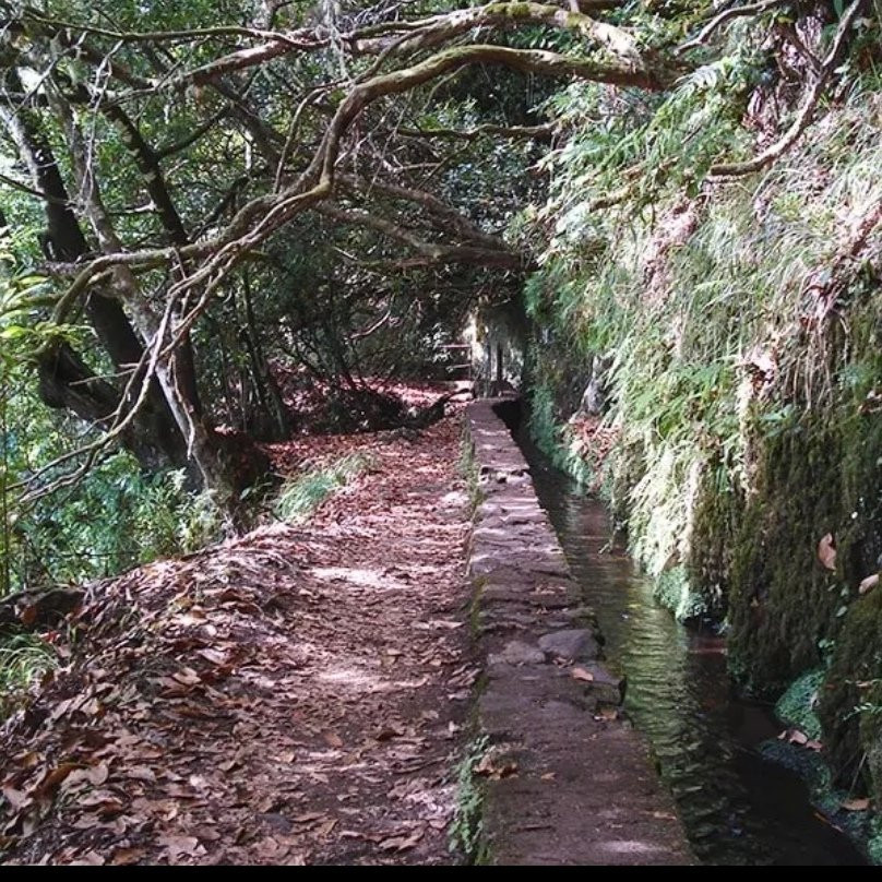 Guia Ilha da Madeira-马德拉群岛必去景点