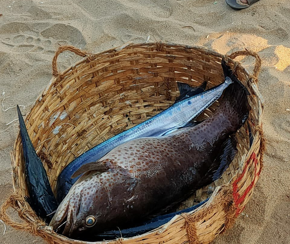 Chavakkad Beach景点图片