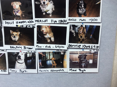 Cape Naturaliste Vineyard-雅林角必去景点