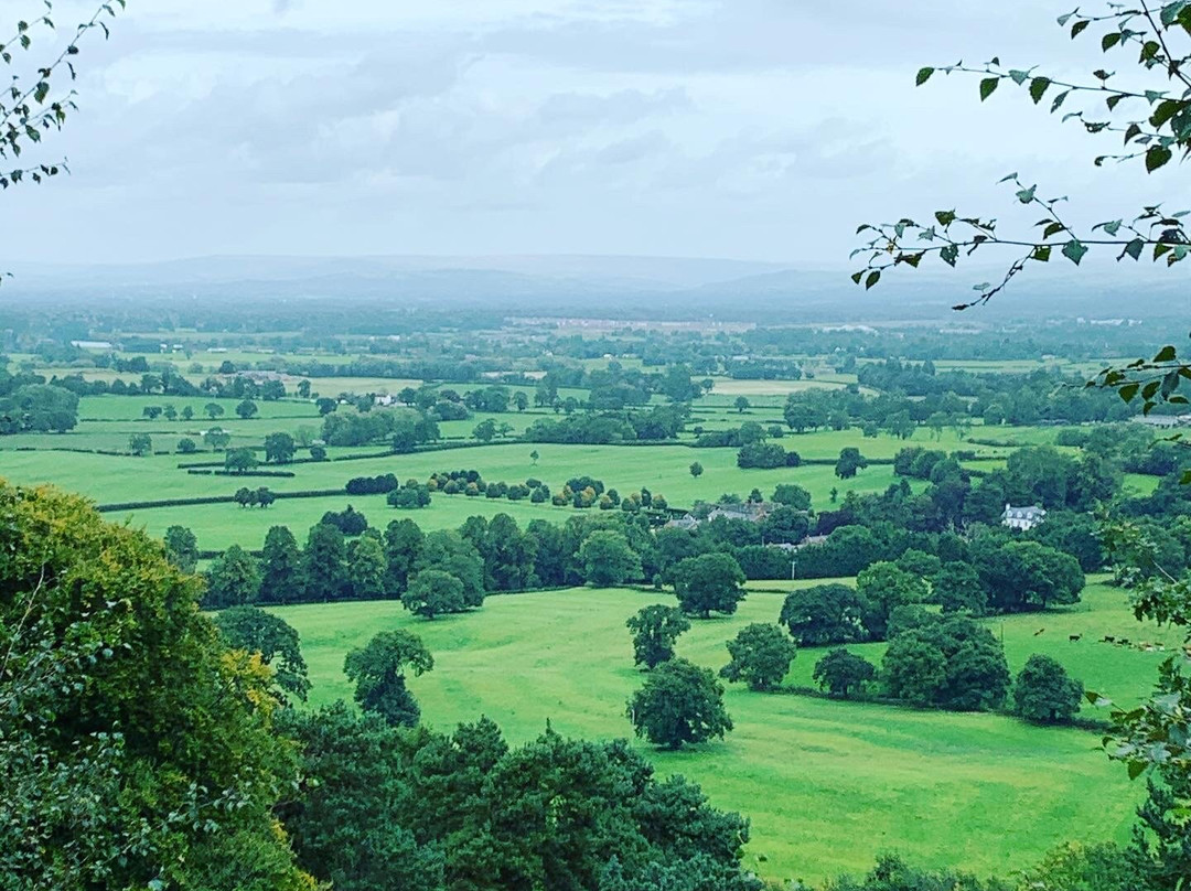 Alderley Edge Woodland Walk-阿尔德利埃奇必去景点