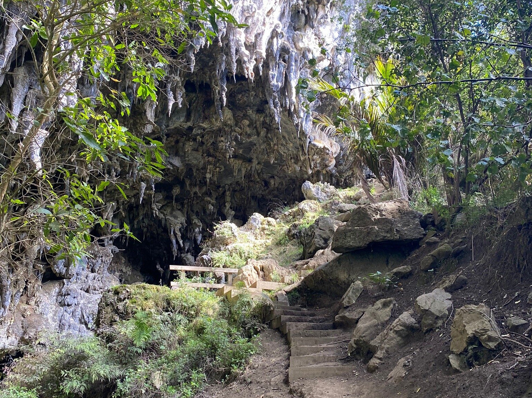 Rawhiti Cave Track景点图片