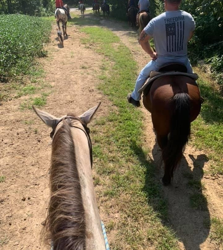 Santa's Stables-圣克劳斯必去景点