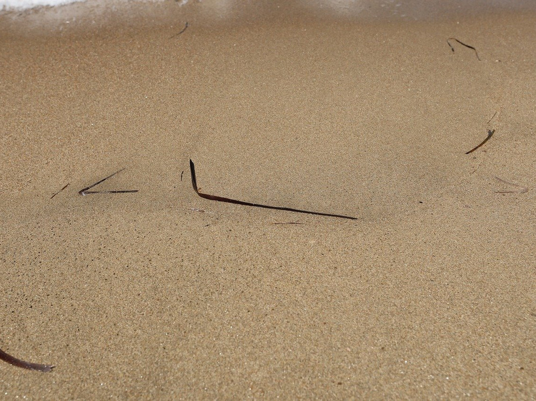 Loretzena-埃欧斯岛必去景点