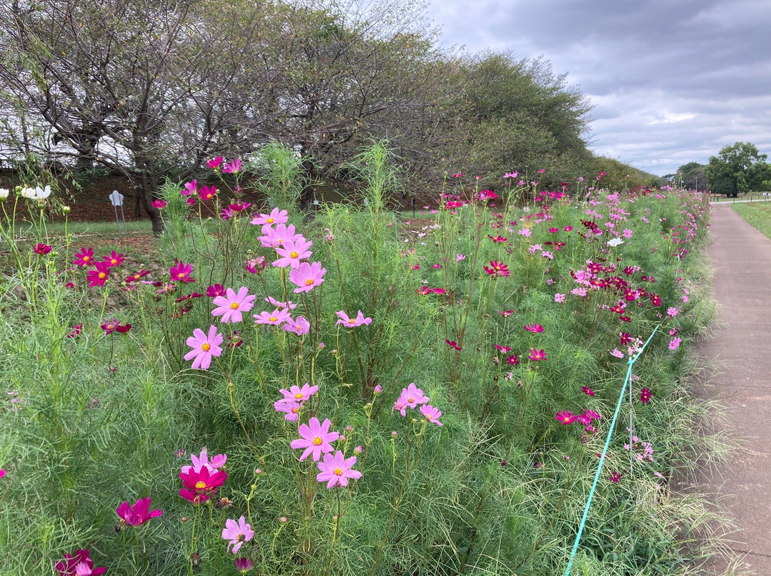 Kenei Gongendo Kouen-久喜市必去景点