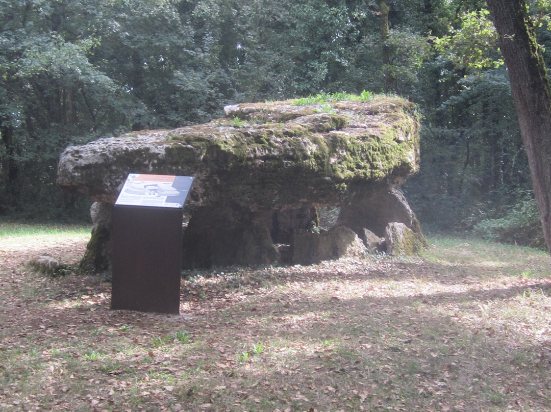 Dolmen De La Pierre Pèse景点图片