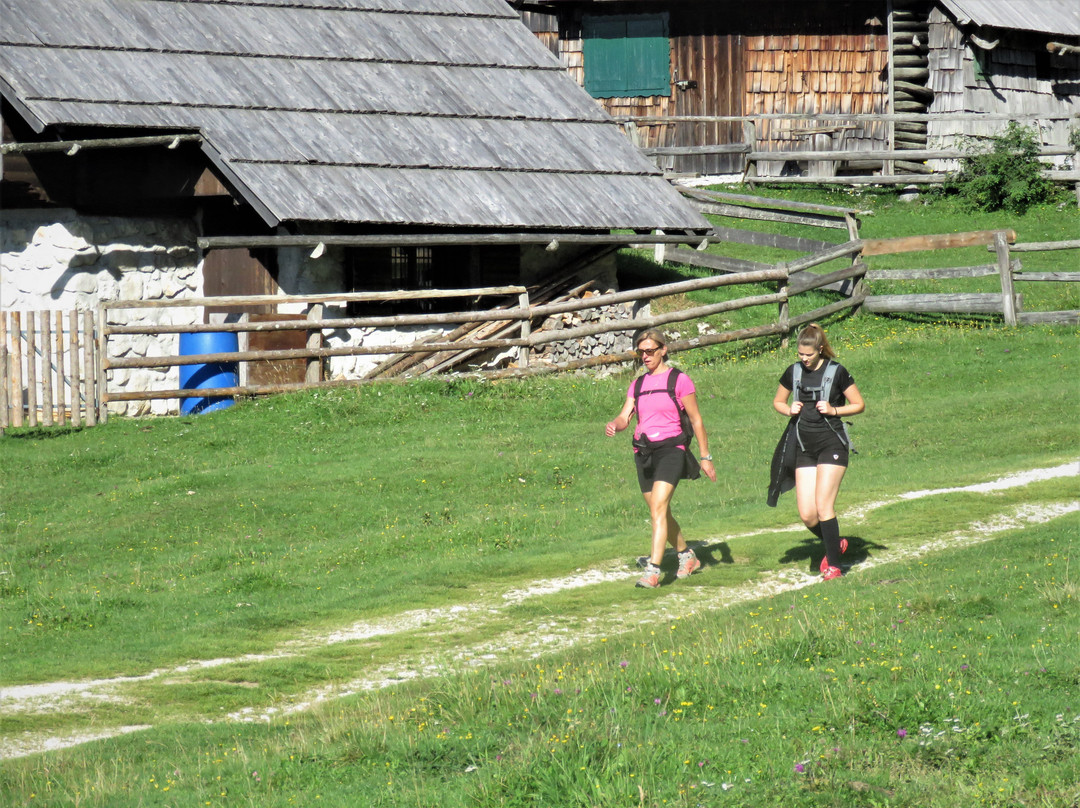 Planina Zajamniki-Srednja vas v Bohinju必去景点