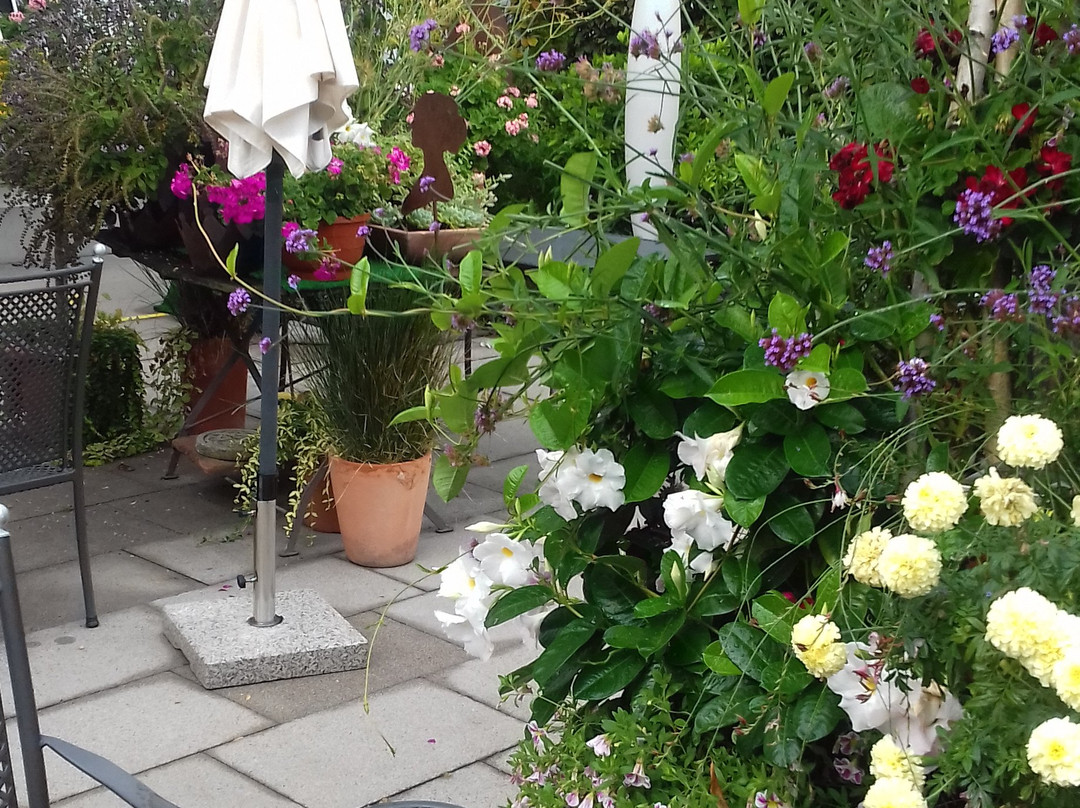 Hotel Schwarzwalder Hof主图