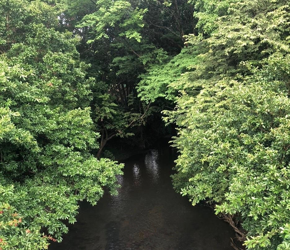 Happy Rides-瓜纳卡斯特省必去景点