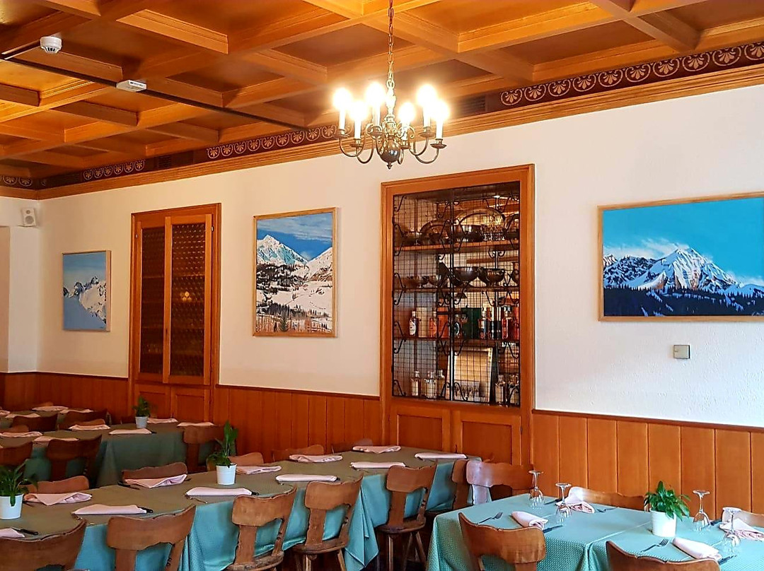 Hotel des Alpes - Hotel, Albergo主图