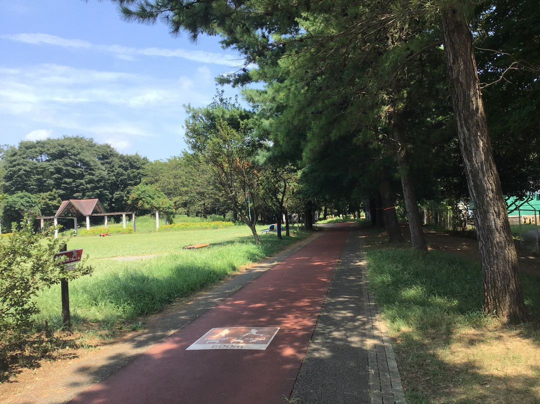 Sai-no-mori Iruma Park-入间市必去景点