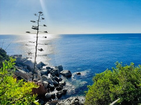 Arbatax Park Resort - Dune主图