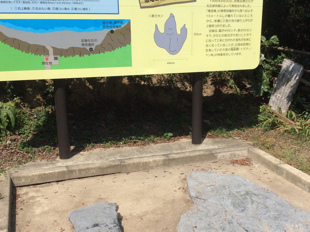 Toba Fossil Discovery Site-鸟羽市必去景点