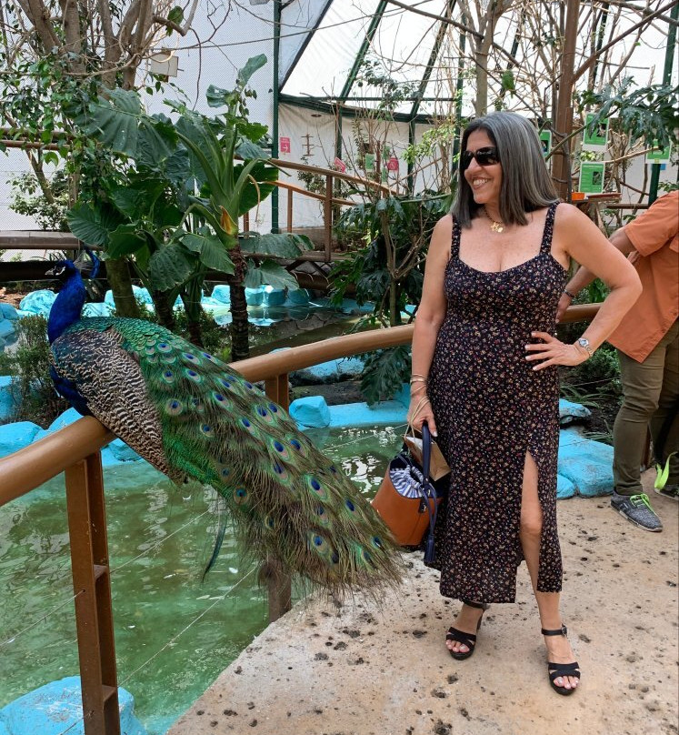 Parque Lincoln-墨西哥城必去景点