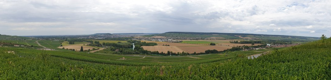 Champagne Bernard CLOUET-Villers-sous-Chatillon必去景点