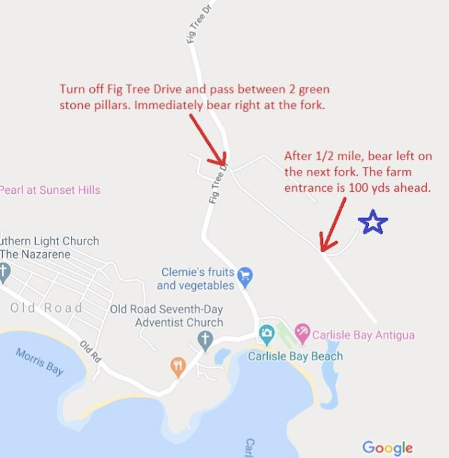 Claremont Farms-Old Road必去景点