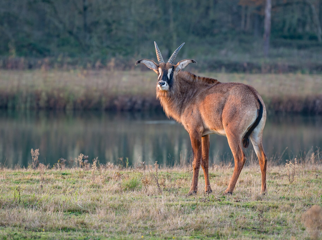 Watatunga Wildlife Reserve景点图片