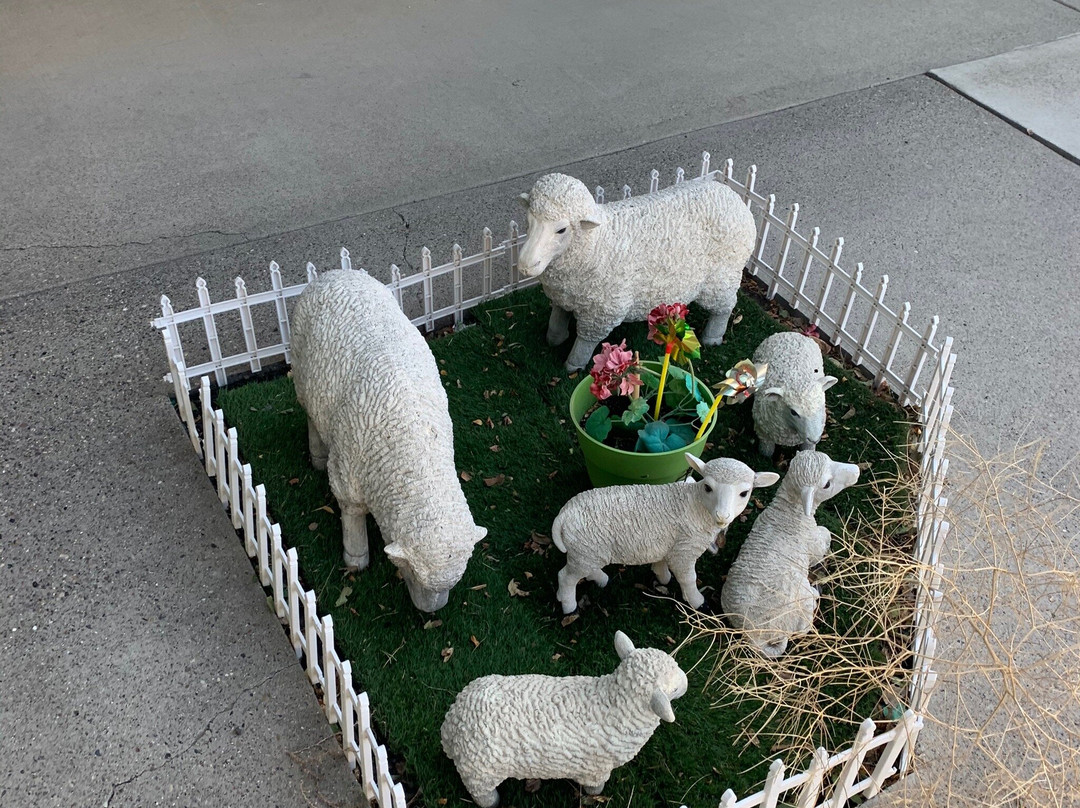 Town House Motel主图