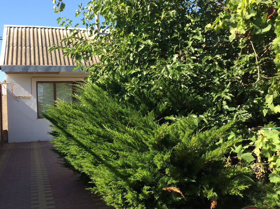 Guest House Kostroma主图