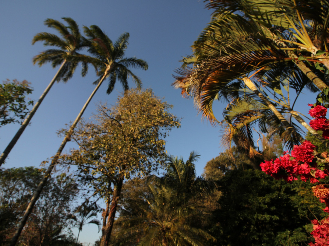 Chacara Ando Bed & Breakfast主图