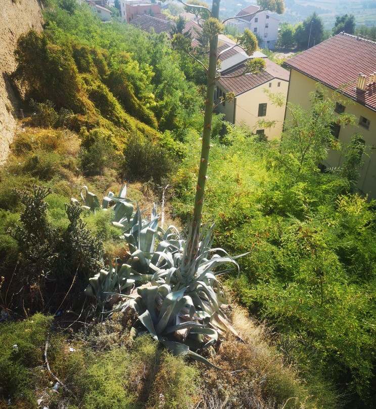 Giardino Comunale-Citta Sant'Angelo必去景点
