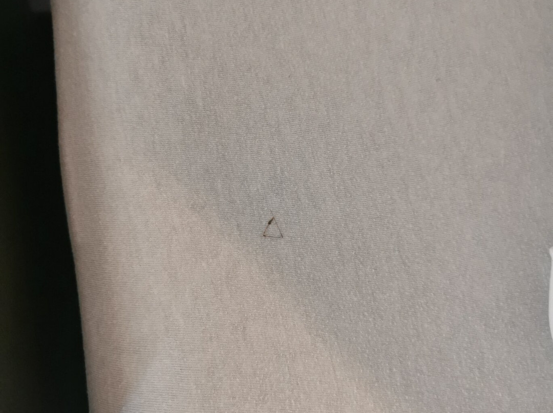 Arthotel Ingolstadt主图